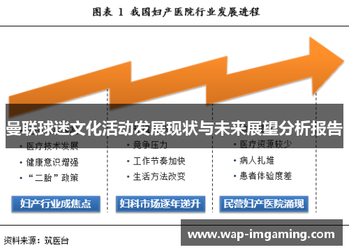 曼联球迷文化活动发展现状与未来展望分析报告
