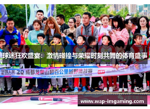 球迷狂欢盛宴：激情碰撞与荣耀时刻共舞的体育盛事
