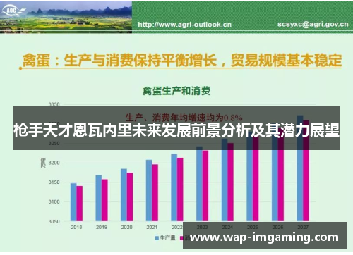 枪手天才恩瓦内里未来发展前景分析及其潜力展望