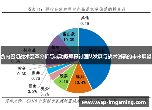 费内巴切战术变革分析与成功概率探讨团队发展与战术创新的未来展望