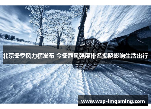 北京冬季风力榜发布 今冬烈风强度排名揭晓影响生活出行