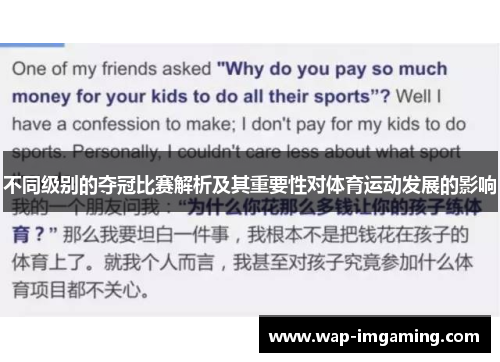 不同级别的夺冠比赛解析及其重要性对体育运动发展的影响