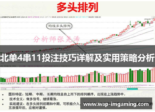 北单4串11投注技巧详解及实用策略分析