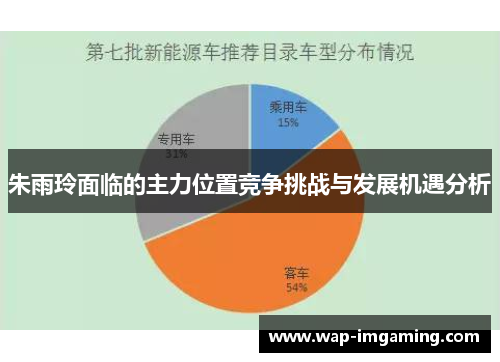 朱雨玲面临的主力位置竞争挑战与发展机遇分析