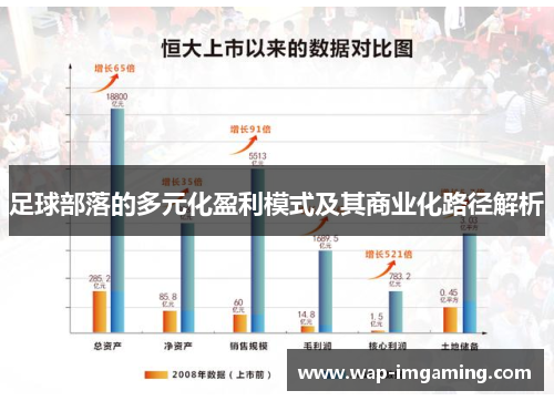 足球部落的多元化盈利模式及其商业化路径解析