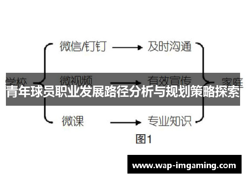 青年球员职业发展路径分析与规划策略探索