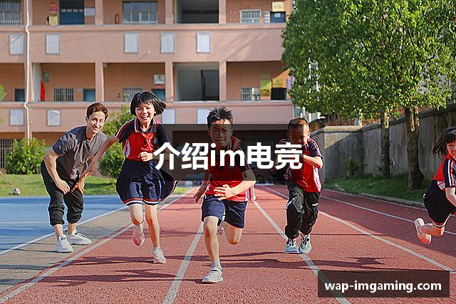 介绍im电竞